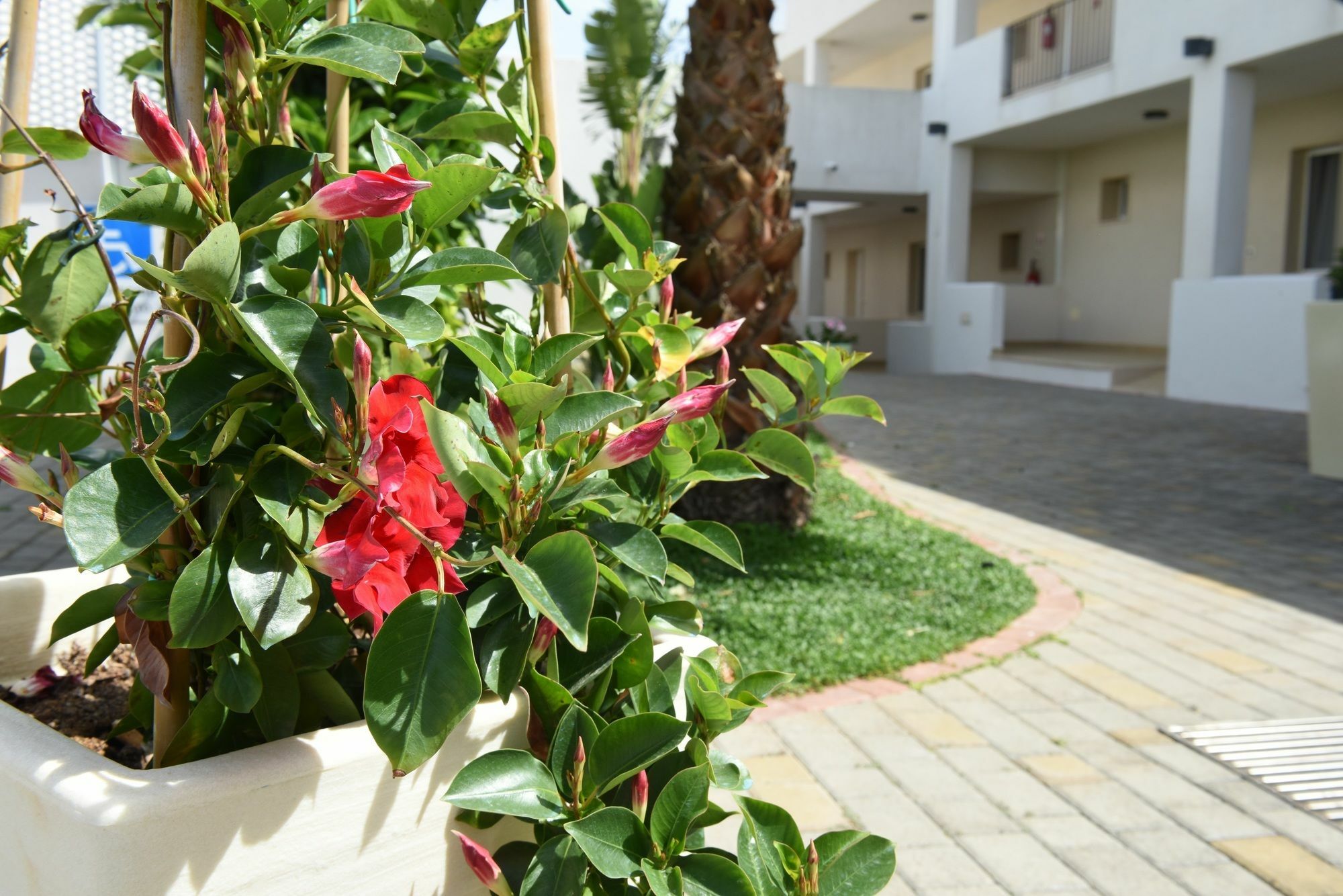 Donnosanto Residence Torre Santa Sabina Exterior foto